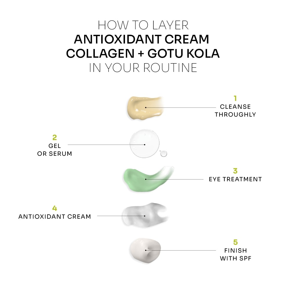 Antioxidant Cream | Collagen + Gotu Kola